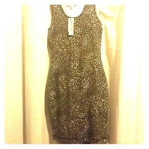 🌑 NWT Philosophy Leopard Print, SOFT☁️ Dress